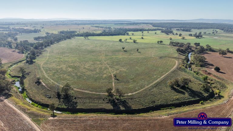 3 bedroom mixed farming property at 59 Piambra Road, Binnaway NSW 2395 - photo 14