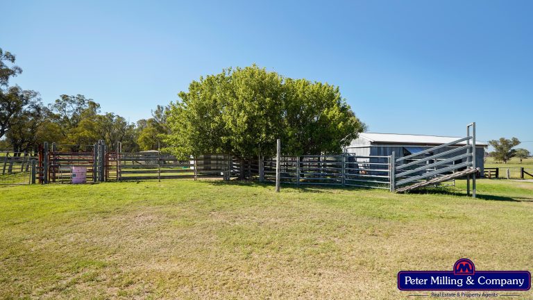 3 bedroom mixed farming property at 59 Piambra Road, Binnaway NSW 2395 - photo 5