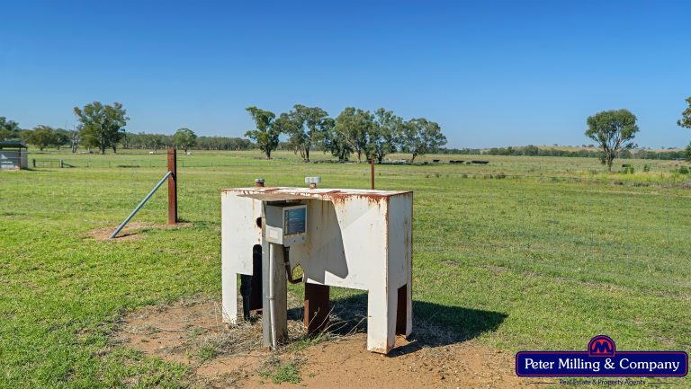 3 bedroom mixed farming property at 59 Piambra Road, Binnaway NSW 2395 - photo 20