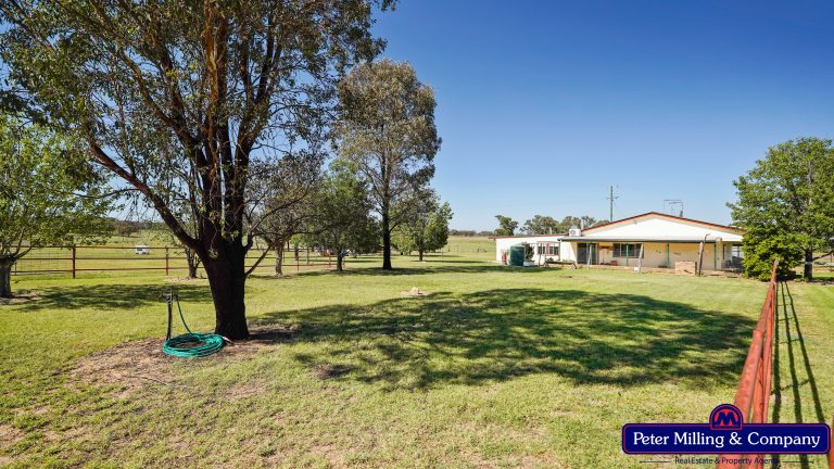 3 bedroom mixed farming property at 59 Piambra Road, Binnaway NSW 2395 - photo 3