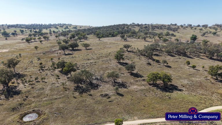 3 bedroom cropping property at 162 Gollan Road, Goolma NSW 2852 - photo 19