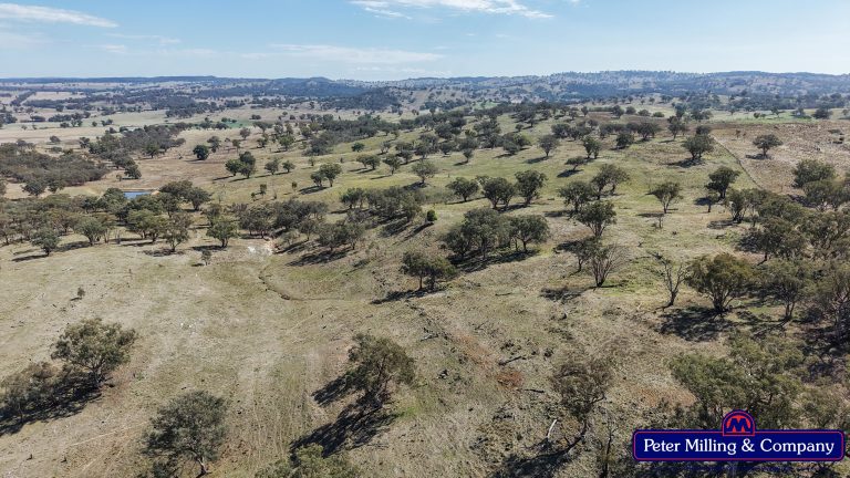3 bedroom cropping property at 162 Gollan Road, Goolma NSW 2852 - photo 22