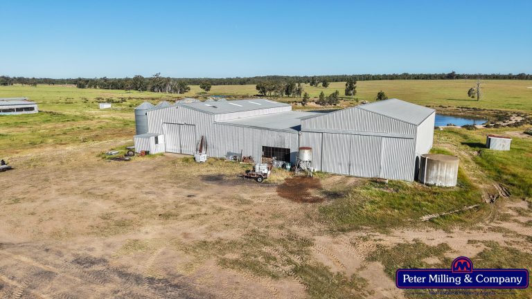 5 bedroom mixed farming property at "Katella" 7878 Newell Highway, Tomingley NSW 2869 - photo 7