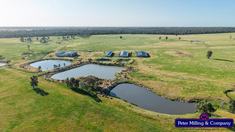 5 bedroom mixed farming property at "Katella" 7878 Newell Highway, Tomingley NSW 2869 - photo 24
