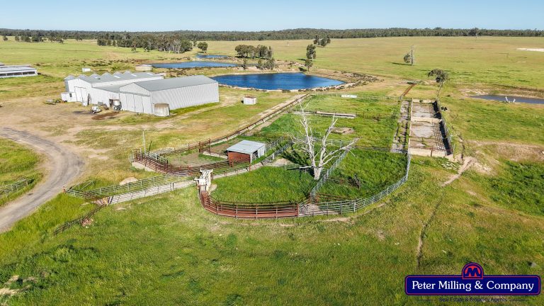5 bedroom mixed farming property at "Katella" 7878 Newell Highway, Tomingley NSW 2869 - photo 28