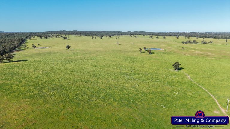 5 bedroom mixed farming property at "Katella" 7878 Newell Highway, Tomingley NSW 2869 - photo 18