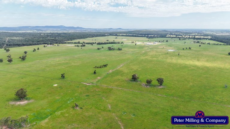 5 bedroom mixed farming property at "Katella" 7878 Newell Highway, Tomingley NSW 2869 - photo 19