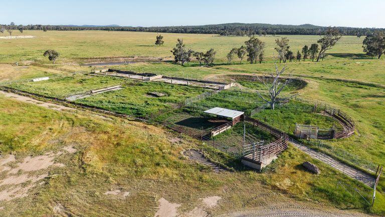 5 bedroom mixed farming property at "Katella" 7878 Newell Highway, Tomingley NSW 2869 - photo 29