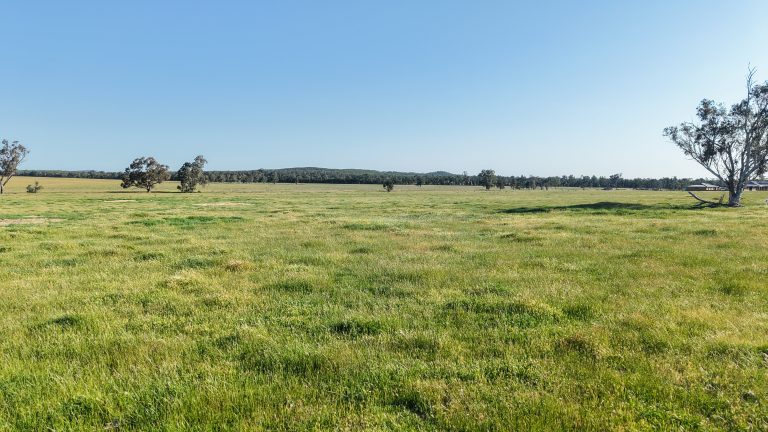 5 bedroom mixed farming property at "Katella" 7878 Newell Highway, Tomingley NSW 2869 - photo 17