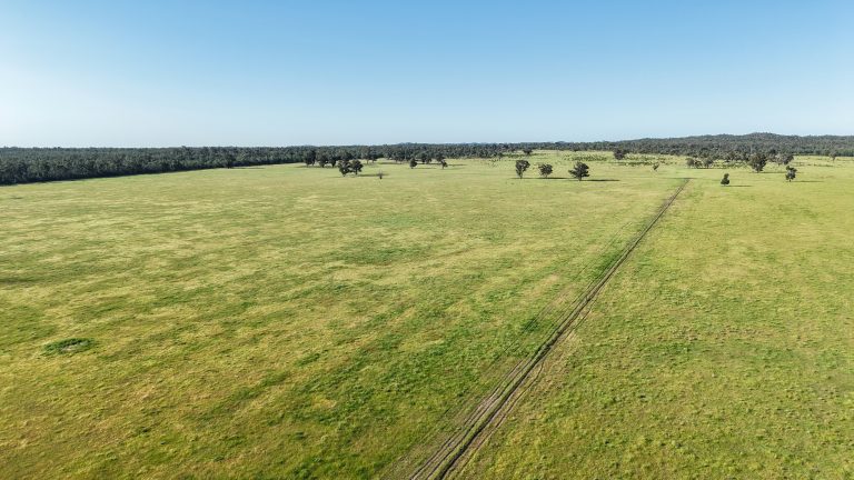 5 bedroom mixed farming property at "Katella" 7878 Newell Highway, Tomingley NSW 2869 - photo 16