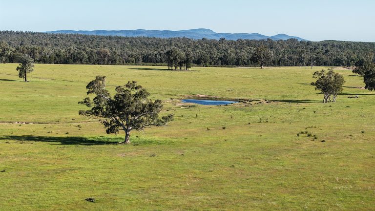 5 bedroom mixed farming property at "Katella" 7878 Newell Highway, Tomingley NSW 2869 - photo 20