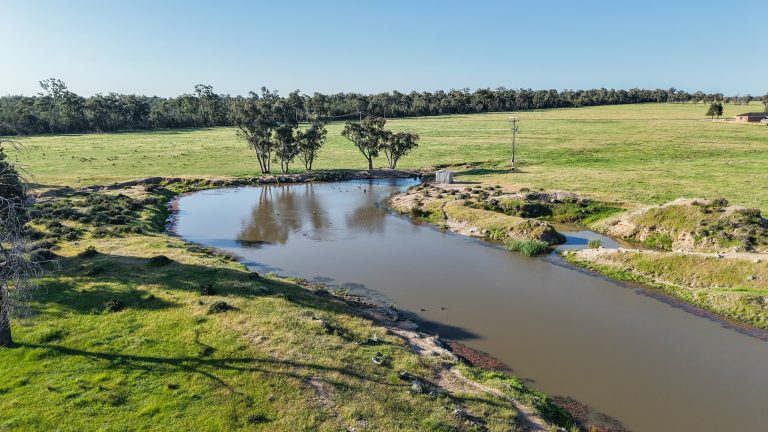 5 bedroom mixed farming property at "Katella" 7878 Newell Highway, Tomingley NSW 2869 - photo 25
