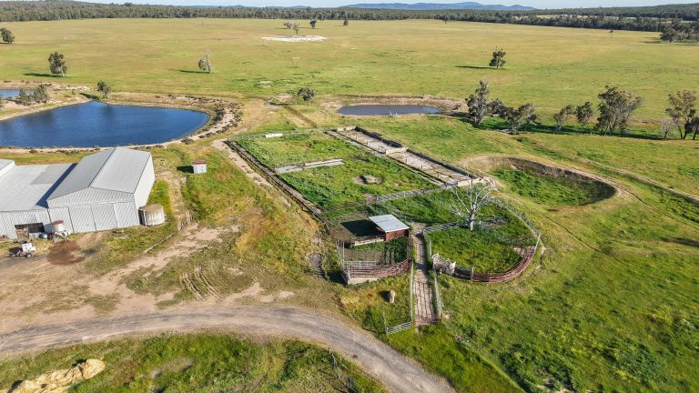 5 bedroom mixed farming property at "Katella" 7878 Newell Highway, Tomingley NSW 2869 - photo 30