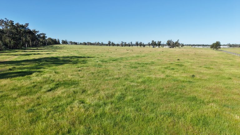 5 bedroom mixed farming property at "Katella" 7878 Newell Highway, Tomingley NSW 2869 - photo 21