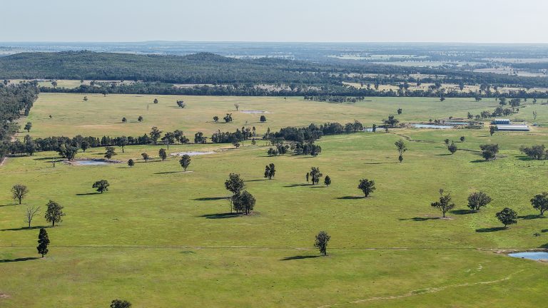 5 bedroom mixed farming property at "Katella" 7878 Newell Highway, Tomingley NSW 2869 - photo 23