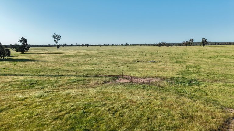 5 bedroom mixed farming property at "Katella" 7878 Newell Highway, Tomingley NSW 2869 - photo 22