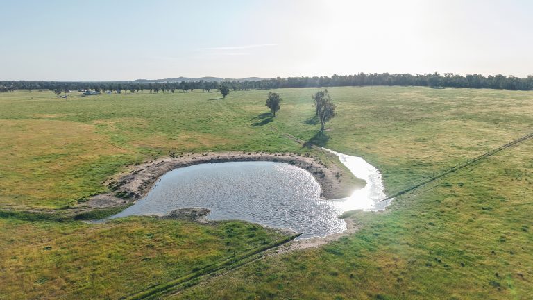 5 bedroom mixed farming property at "Katella" 7878 Newell Highway, Tomingley NSW 2869 - photo 26