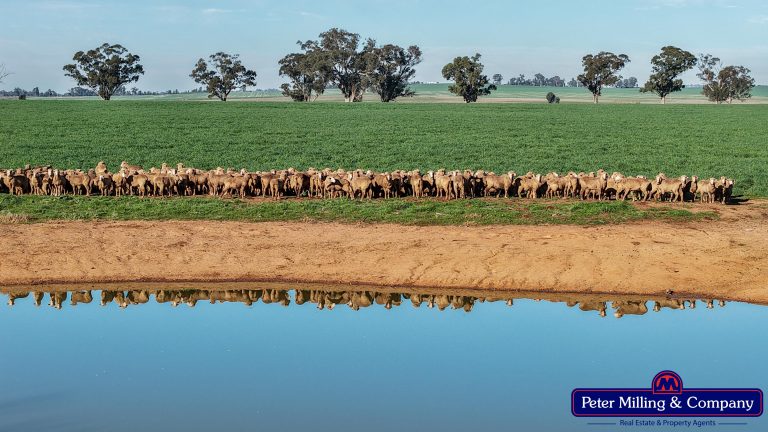 4 bedroom mixed farming property at 48R Quamby Road, Wongarbon NSW 2831