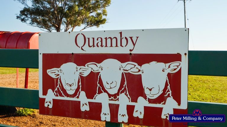 4 bedroom mixed farming property at 48R Quamby Road, Wongarbon NSW 2831 - photo 25