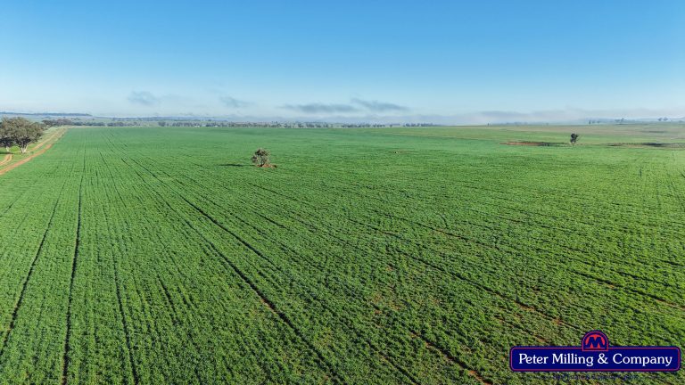 4 bedroom mixed farming property at 48R Quamby Road, Wongarbon NSW 2831 - photo 2