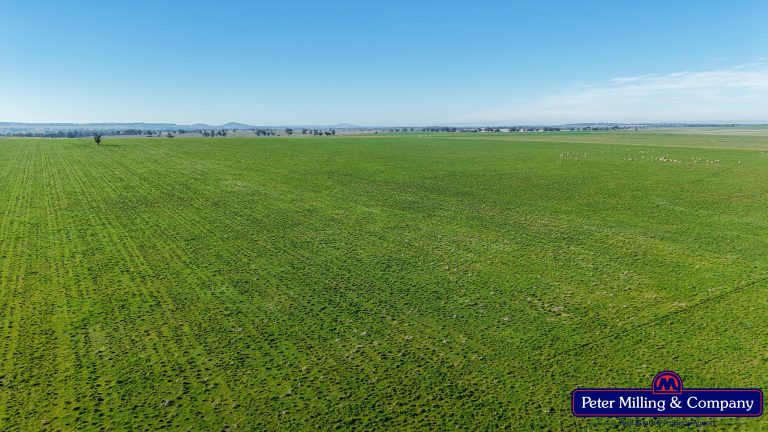 4 bedroom mixed farming property at 48R Quamby Road, Wongarbon NSW 2831 - photo 6