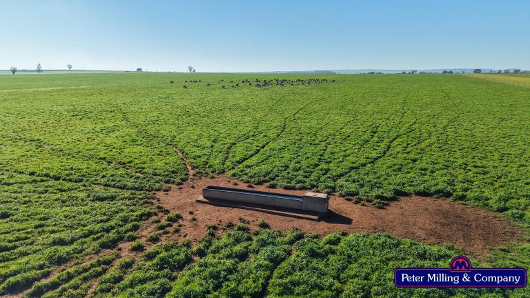 4 bedroom mixed farming property at 48R Quamby Road, Wongarbon NSW 2831 - photo 8