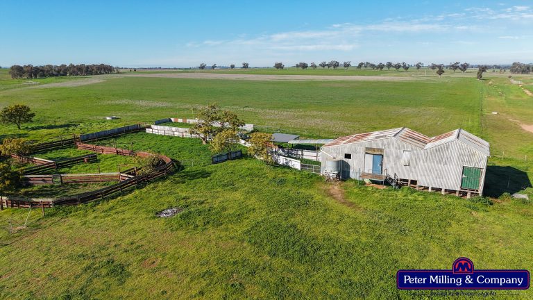 4 bedroom mixed farming property at 48R Quamby Road, Wongarbon NSW 2831 - photo 13
