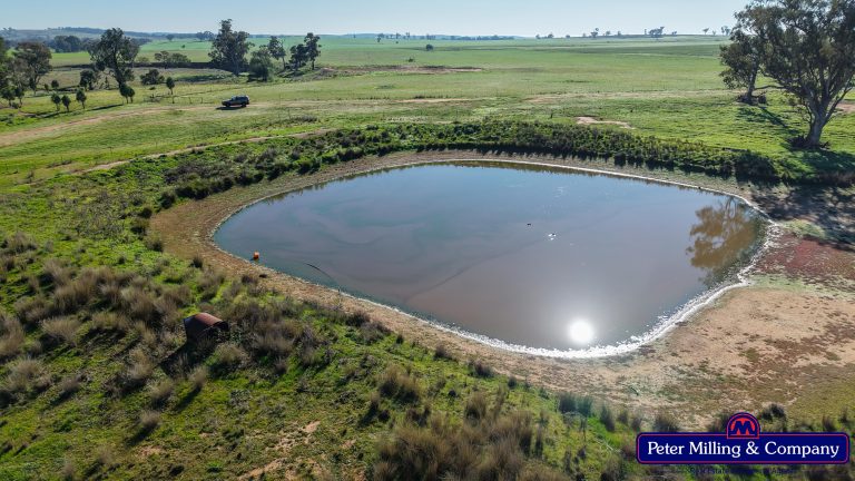 4 bedroom mixed farming property at 48R Quamby Road, Wongarbon NSW 2831 - photo 9