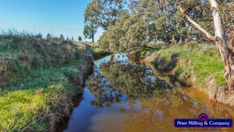 4 bedroom mixed farming property at 48R Quamby Road, Wongarbon NSW 2831 - photo 10