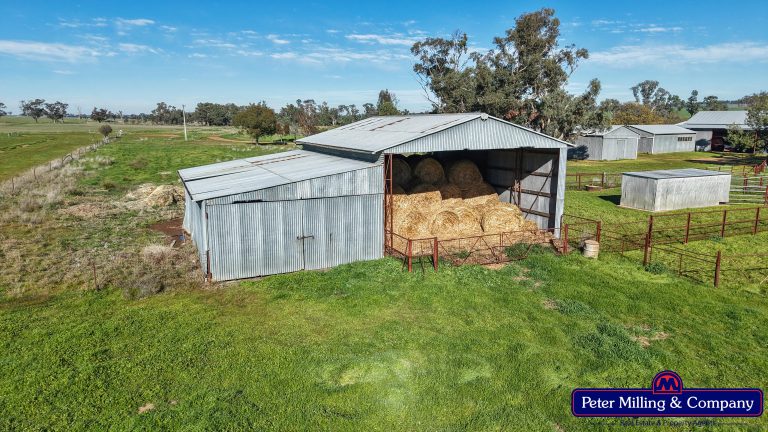4 bedroom mixed farming property at 48R Quamby Road, Wongarbon NSW 2831 - photo 12