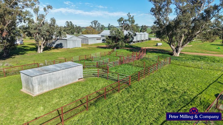 4 bedroom mixed farming property at 48R Quamby Road, Wongarbon NSW 2831 - photo 14