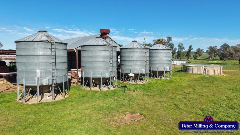 4 bedroom mixed farming property at 48R Quamby Road, Wongarbon NSW 2831 - photo 15