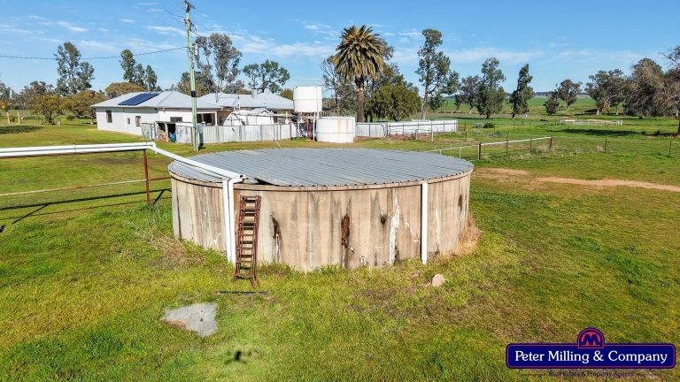4 bedroom mixed farming property at 48R Quamby Road, Wongarbon NSW 2831 - photo 16