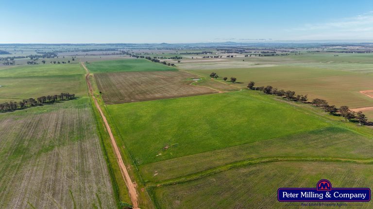 4 bedroom mixed farming property at 48R Quamby Road, Wongarbon NSW 2831 - photo 17