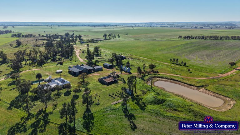 4 bedroom mixed farming property at 48R Quamby Road, Wongarbon NSW 2831 - photo 11