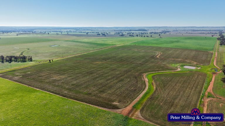 4 bedroom mixed farming property at 48R Quamby Road, Wongarbon NSW 2831 - photo 4