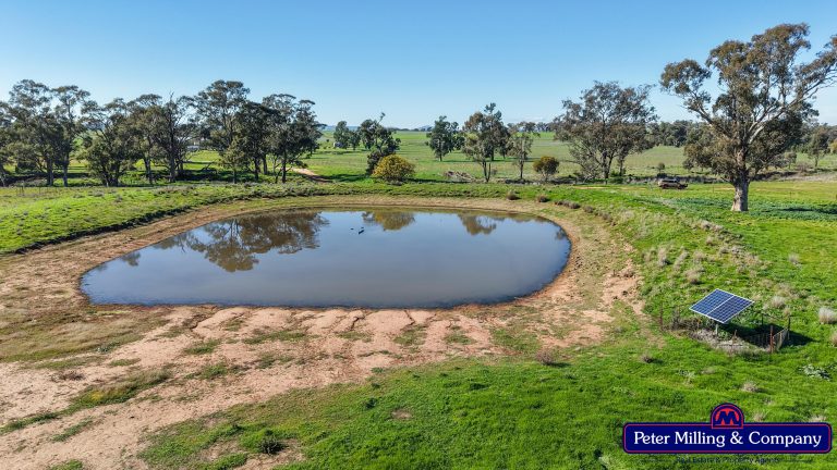 4 bedroom mixed farming property at 48R Quamby Road, Wongarbon NSW 2831 - photo 19