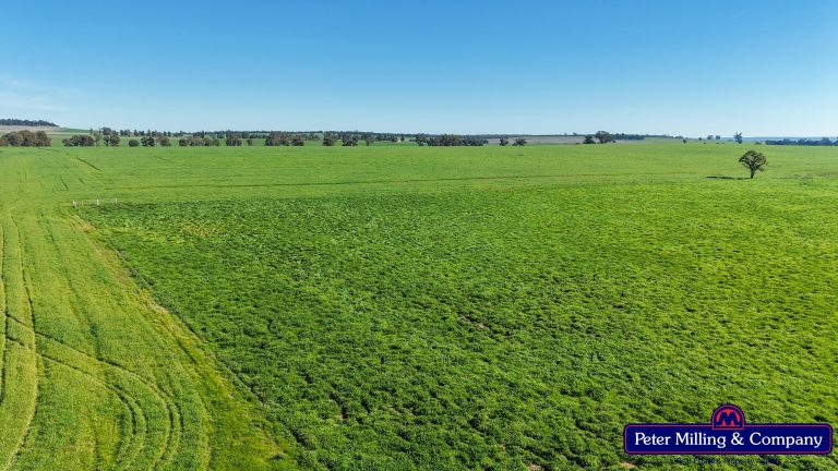 4 bedroom mixed farming property at 48R Quamby Road, Wongarbon NSW 2831 - photo 3