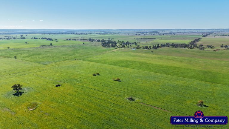 4 bedroom mixed farming property at 48R Quamby Road, Wongarbon NSW 2831 - photo 5