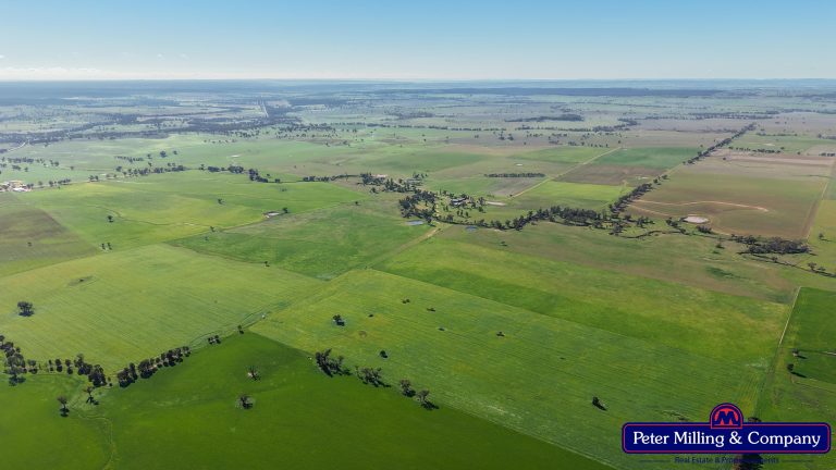 4 bedroom mixed farming property at 48R Quamby Road, Wongarbon NSW 2831 - photo 7