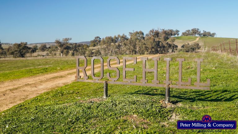 4 bedroom cropping property at 124 Rosehill Road, Wellington NSW 2820