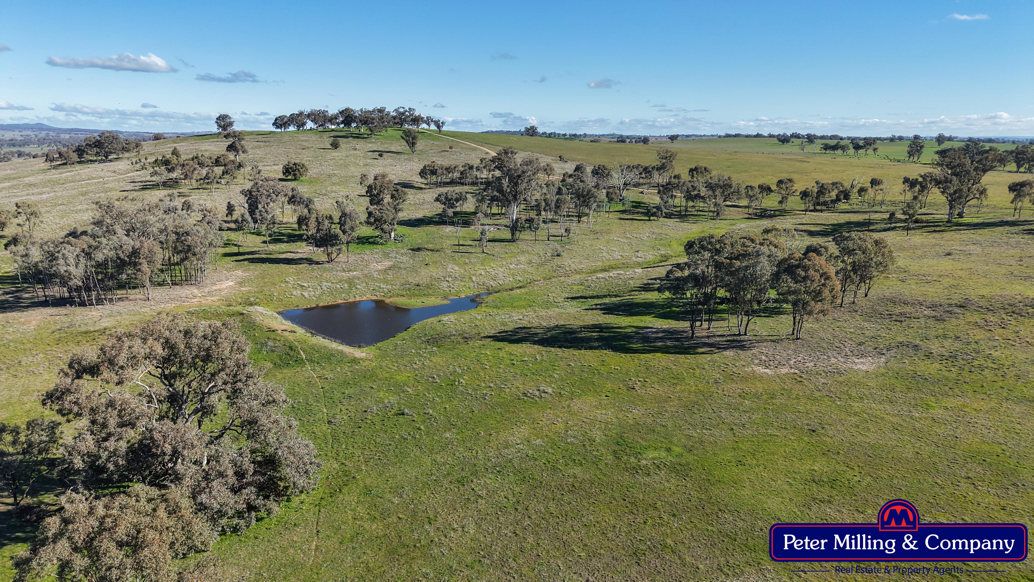 4 bedroom cropping property at 124 Rosehill Road, Wellington NSW 2820