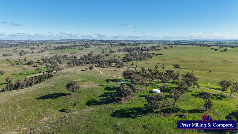 4 bedroom cropping property at 124 Rosehill Road, Wellington NSW 2820