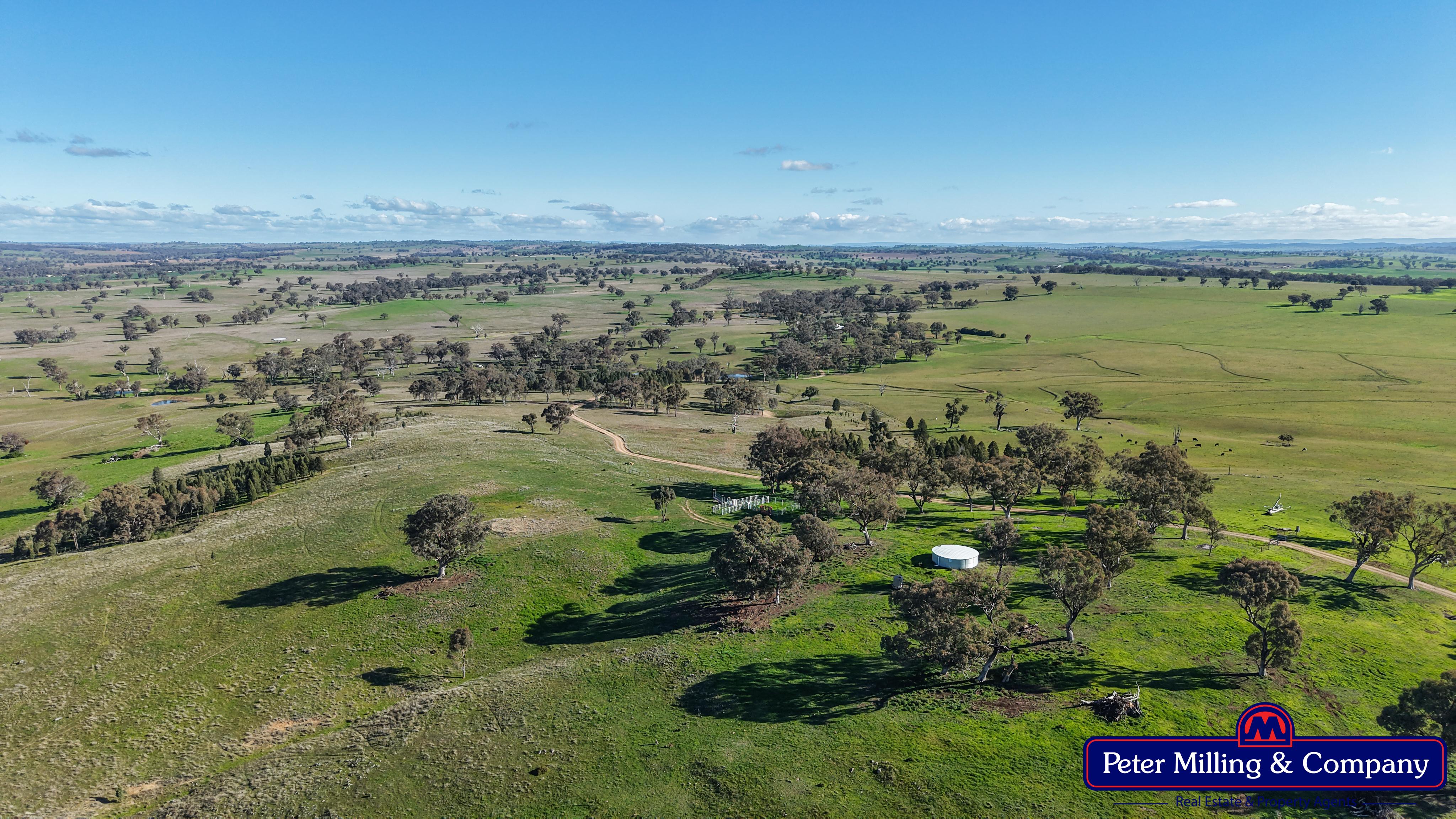 4 bedroom cropping property at 124 Rosehill Road, Wellington NSW 2820