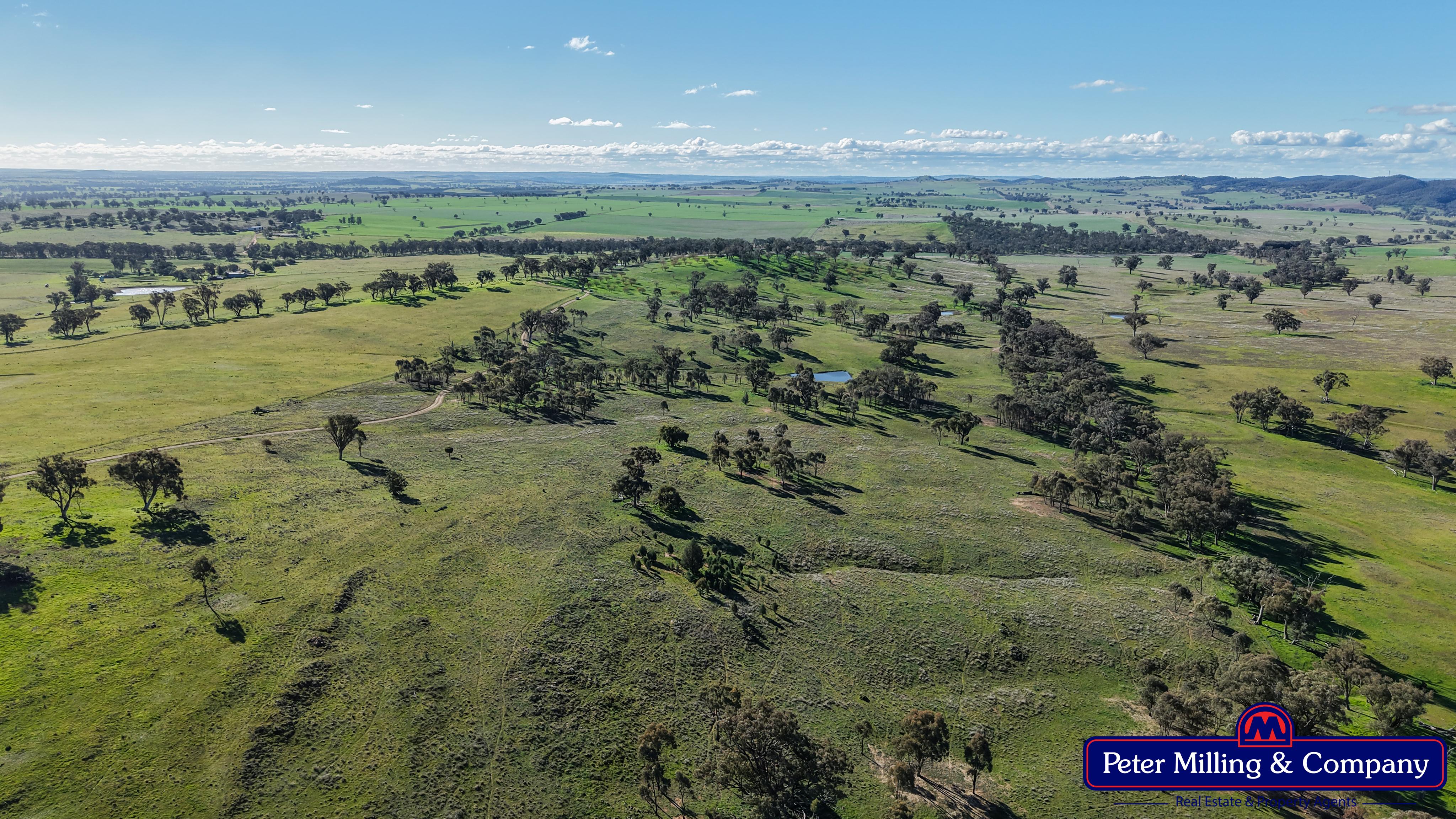 4 bedroom cropping property at 124 Rosehill Road, Wellington NSW 2820