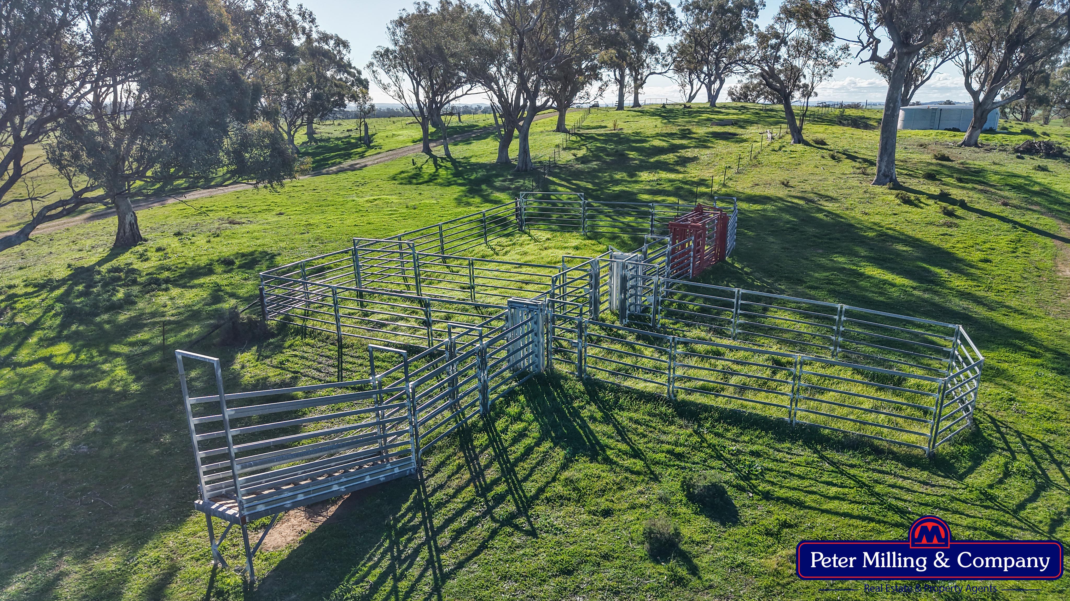 4 bedroom cropping property at 124 Rosehill Road, Wellington NSW 2820