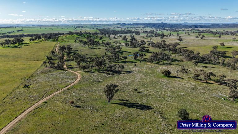 4 bedroom cropping property at 124 Rosehill Road, Wellington NSW 2820