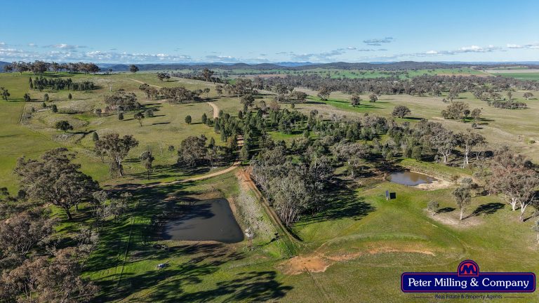 4 bedroom cropping property at 124 Rosehill Road, Wellington NSW 2820