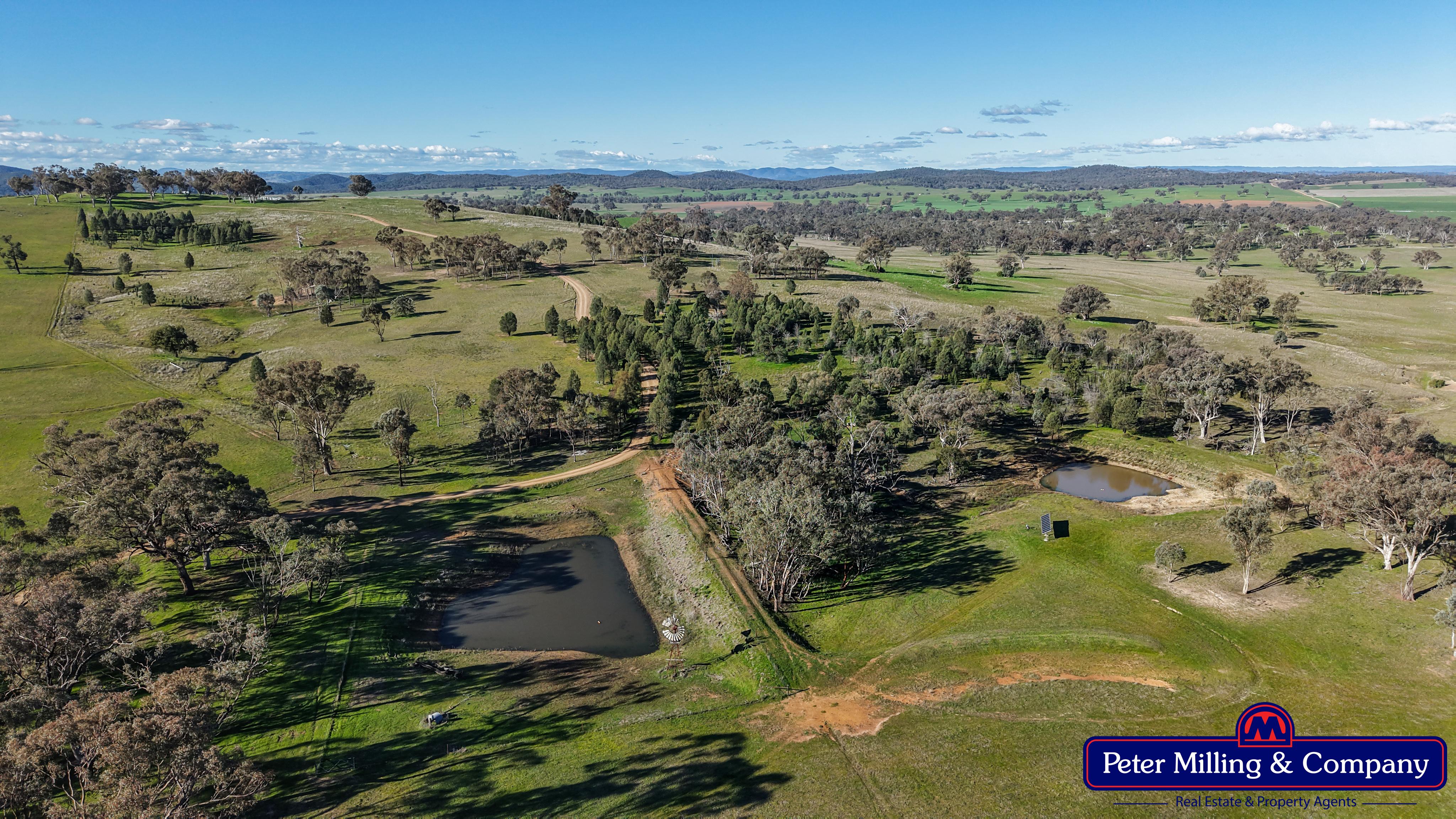 4 bedroom cropping property at 124 Rosehill Road, Wellington NSW 2820