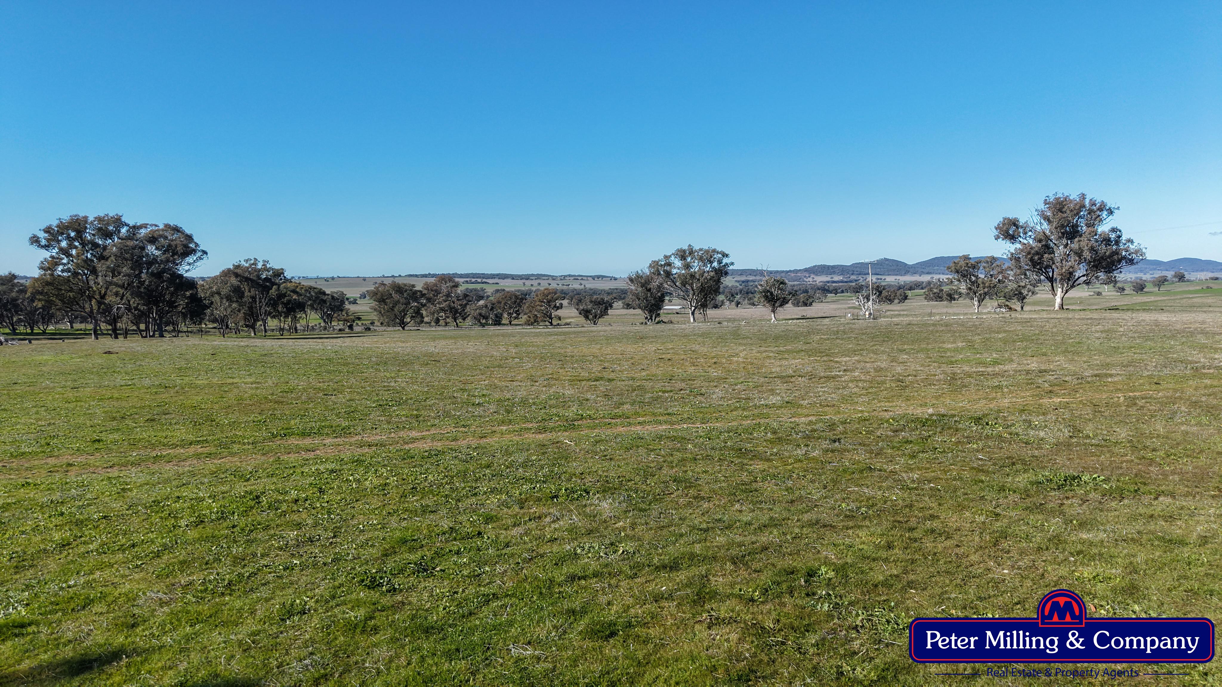4 bedroom cropping property at 124 Rosehill Road, Wellington NSW 2820